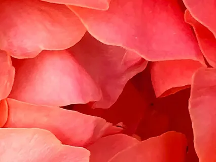 Mindful Movement - Floor Yoga Sequence - MBSR