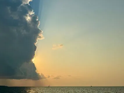 Mindfulness & Movement 1: Introduction & Overview