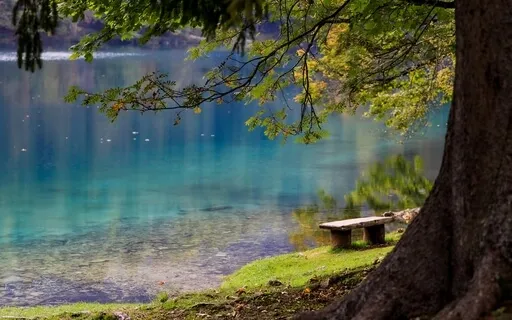 Mindful Nature Break