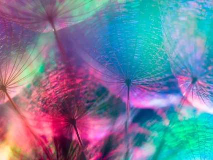 Observing Your Mind And Body For Relaxation