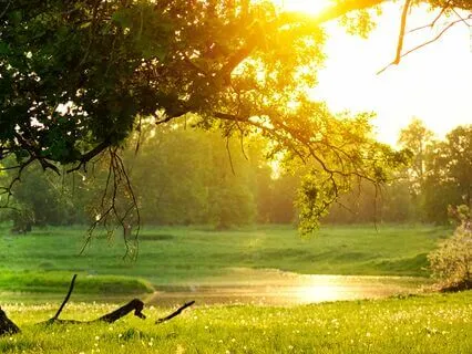 Mindful Pause: Let Go of Stress