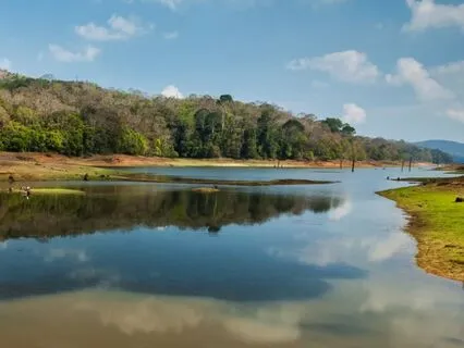 Mindful Pause: Protect Your Peace