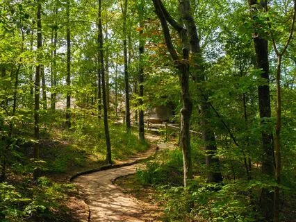 Mindful Pause Sound Bath - Crystal Singing Bowls