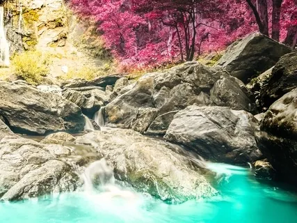 Mindful Pause To Relax & Refocus