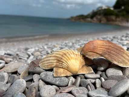 Mindful Pebble Play By The Sea - Grounding Beach ASMR