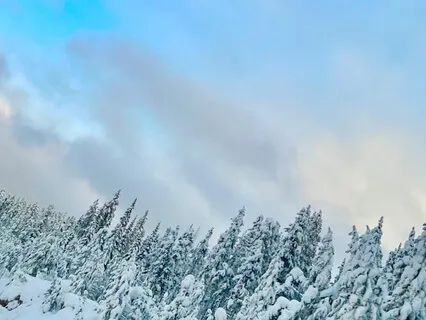 Mindful Presence Meditation