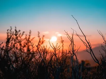 Mindful Problem Meditation