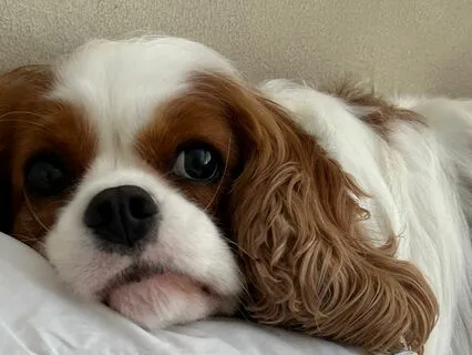 Mindful Rest For Kids