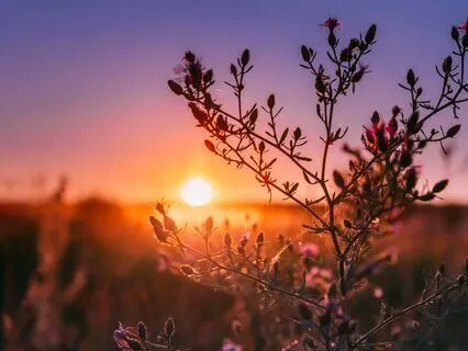 Mindful Resting Space