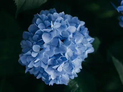 Mindful Seeing For Being Present