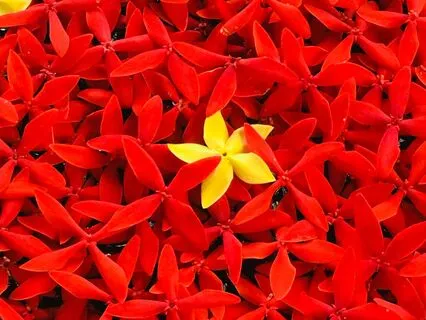 Mindful Self-Compassion For Self-Soothing