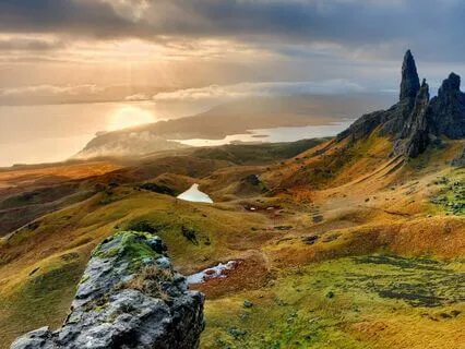 Mindful Self-Control: Cultivate Non-Reactivity