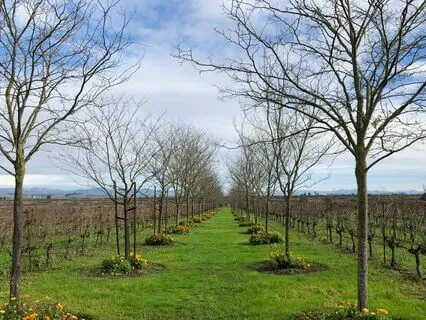 Mindful Sharing - Oversharing On Social Media