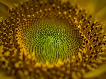 Mindful Simple Breathing Meditation 