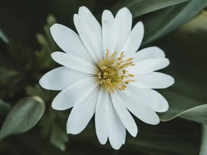 Mindful Sitting Meditation