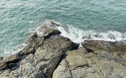 Mindful Sounds: Soft Beach Waves