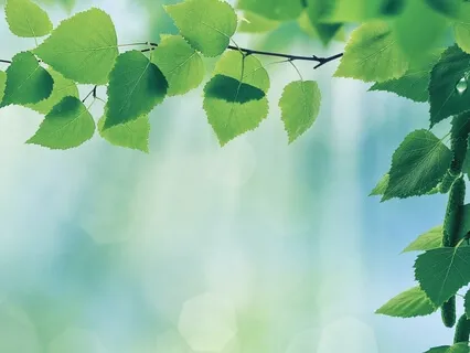 Mindful Spring Cleaning Meditation For Your Thoughts