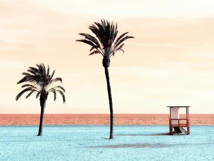 Mindful Study: Serene & Relaxing Background Music