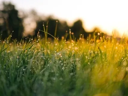 Mindful Tapping For Divine Healing Energy