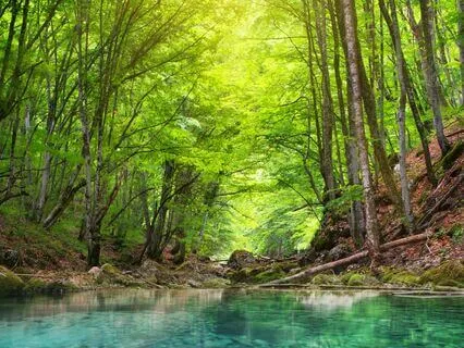 Mindful Tranquility: Music To Ease Anxiety