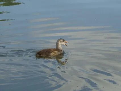 Mindful Vision: Awareness Of Our Perception