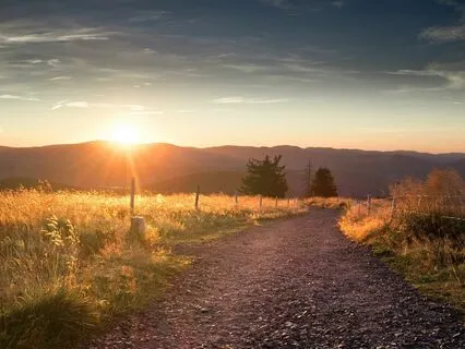Mindful Walk For Reconnection
