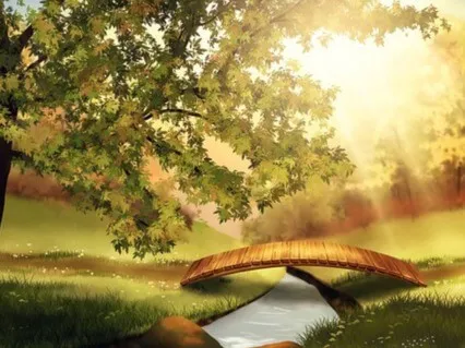 Mindful Walk In The Woods