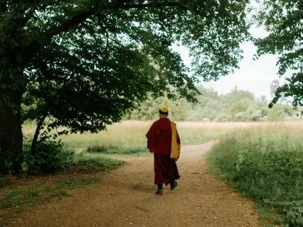 Mindful Walk