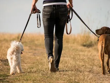 Mindful Walking Exercise