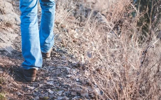 Mindful Walking Meditation