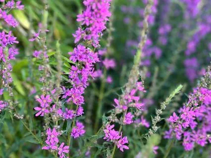 Mindful Walking Meditation — Reconnecting With Your Body