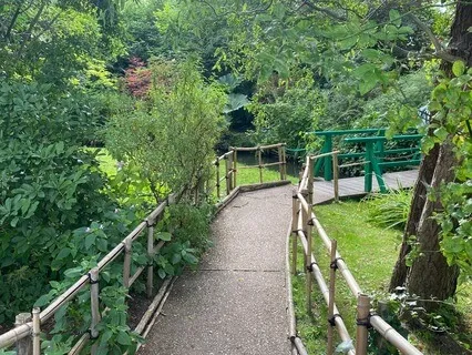 Mindful Walking Meditation