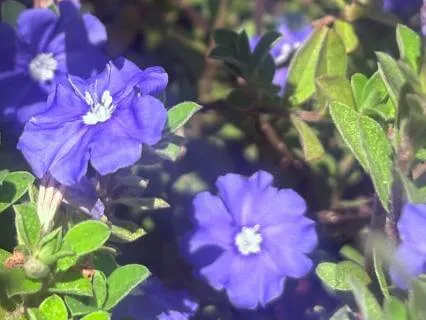 Mindful Wandering: A Visualisation And Sensory Meditation