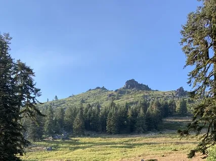 Mindful Wellbeing Week 1: What's On My Plate?