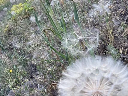 Mindful Wellbeing Week 2: Nourishing The Heart