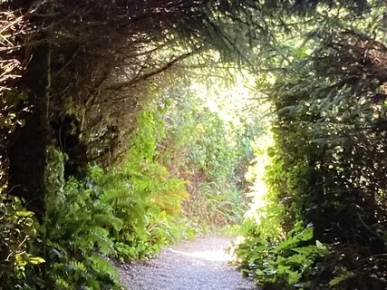 Mindful Wellbeing Week 2: The Gift Of The Heart