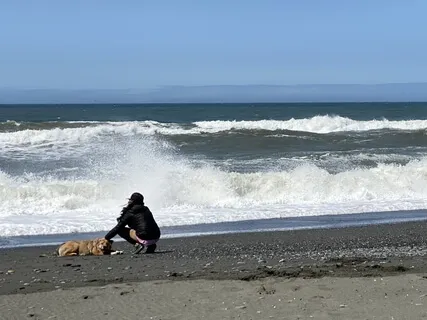 Mindful Wellbeing Week 3: Feeling Into The Body