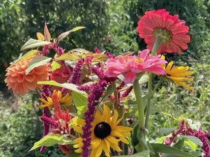 Mindful Wellbeing Week 4: Expanding Our Emotional Vocabulary