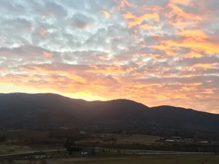 Mindful Wellbeing Week 4: Golden Love Shower