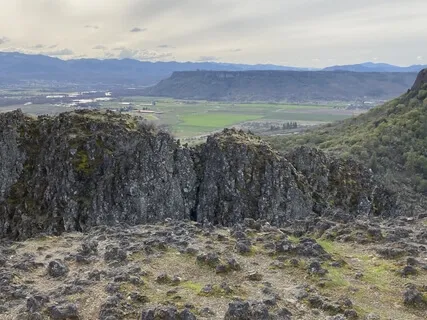 Mindful Wellbeing Week 5: Embodying Resiliency