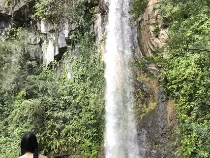 Mindful Wellbeing Week 5: Letting Go