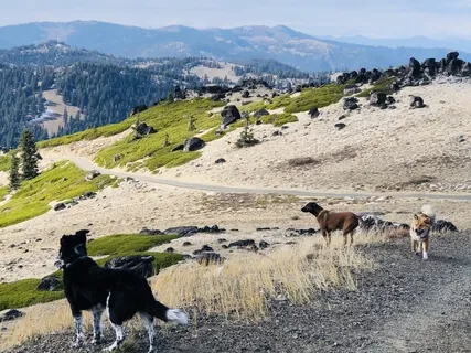 Mindful Wellbeing Week 6: A Spacious Mind