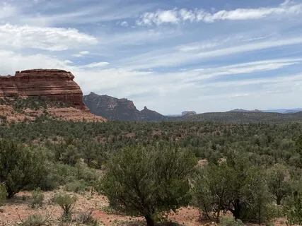 Mindful Wellbeing Week 6: Befriending The Mind