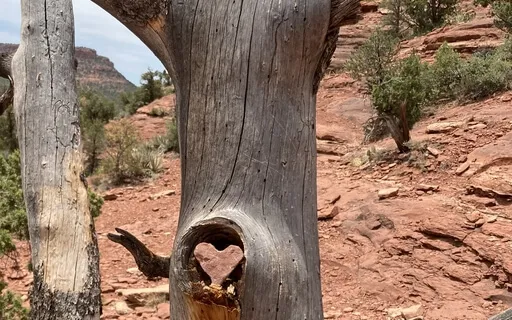 Mindful Wellbeing Week 6: This Heart Of Yours