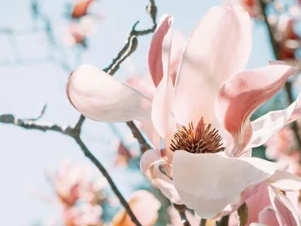 Mindful Words, Empowered Leadership