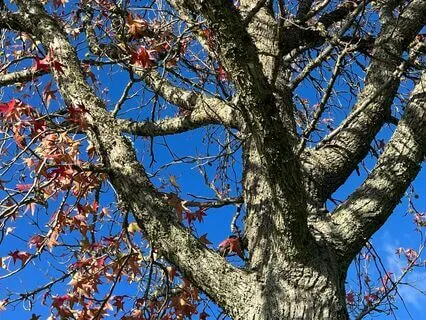 Mindful Yoga For Kids (Resilience Building)