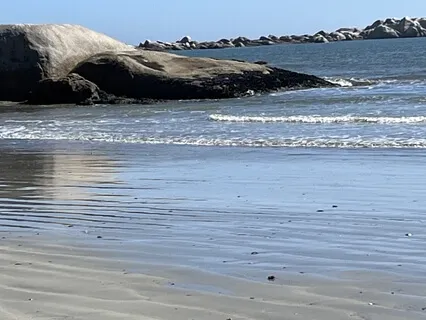 Mindful Yoga Two (MBSR)