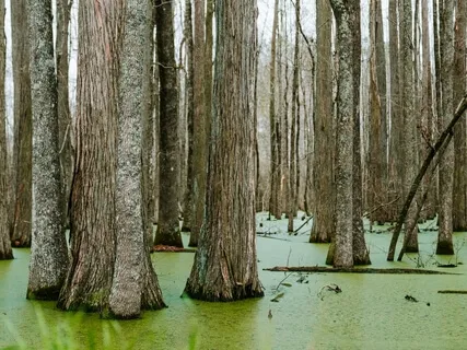 Mindfulness  For Anywhere, Anytime, Anyone