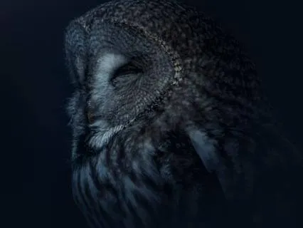 For Better Sleep