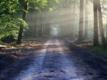 Mindfully Choosing Your Path